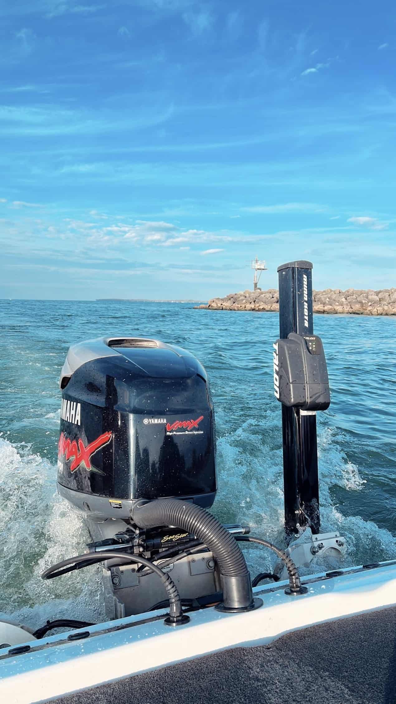 Outboard motor detail